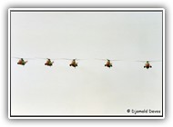 Seaking formation